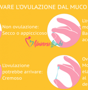 Muco cervicale: come osservarlo per rimanere incinta